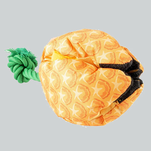 Schnüffelspielzeug Ananas