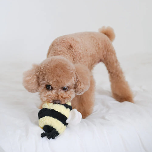 Schnüffelspielzeug BEE POP Biene