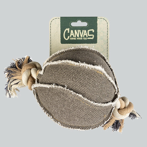 Spielzeug Canvas Ball mit Leine