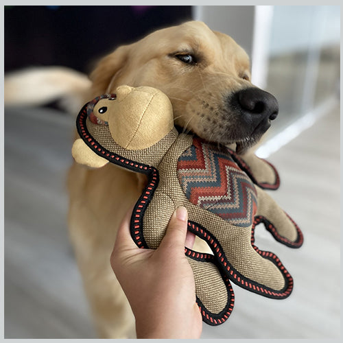 Spielzeug Canvas Gorilla