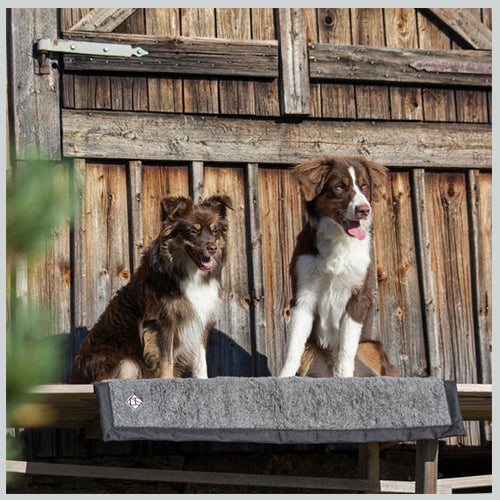 Hundedecke Hiking