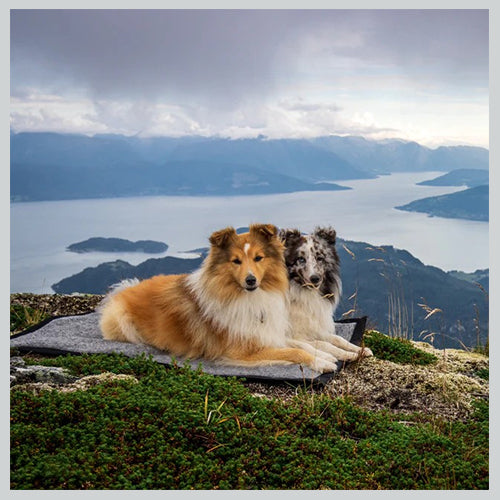 Hundedecke Hiking