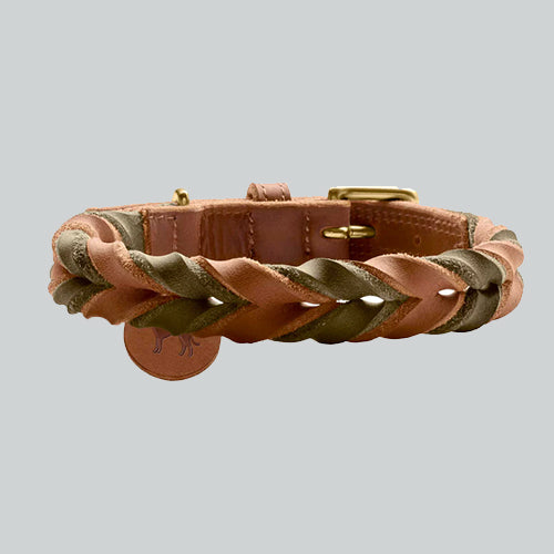 Halsband Solid Education Duo