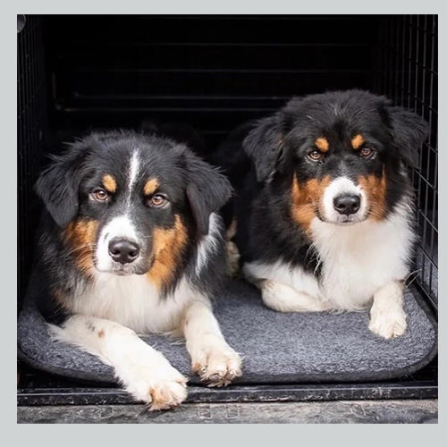 Hundebett THUNDRA