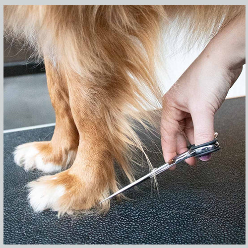 Japandi Pflegeschere silber 17x5,6x1 cm