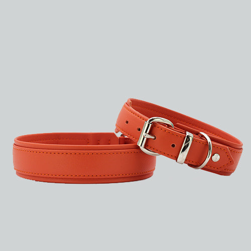 Hundehalsband Klassik soft holi color karotte