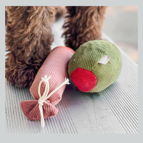 Schnüffelspielzeug Olive und Salami