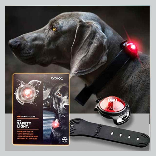 Licht für Hunde Orbiloc Dog Dual