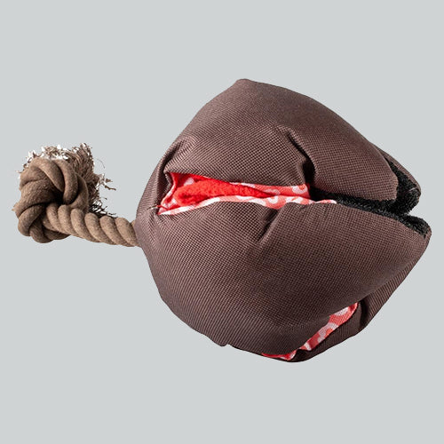 Schnüffelspielzeug Pitaya
