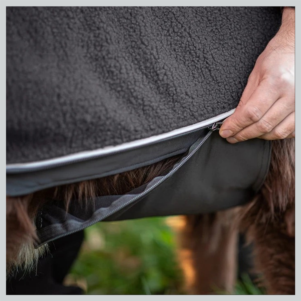 Hundepullover Polar pomppa
