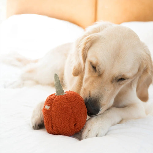 Schnüffelspielzeug Pepper