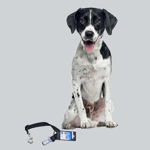 Short Safety Lead