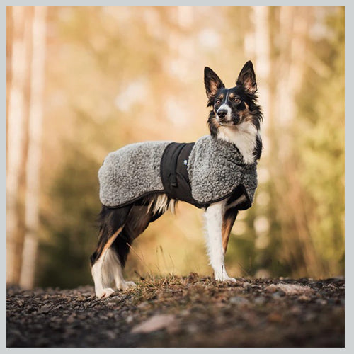 Hunde Wollmantel HYBRIDO