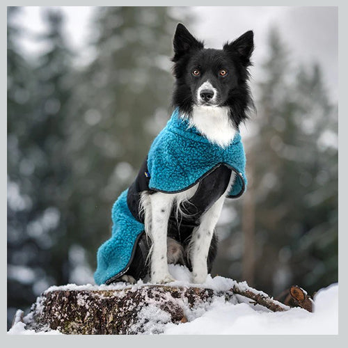 Hunde Wollmantel HYBRIDO