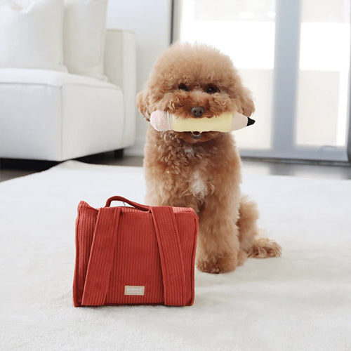 Schnüffelspielzeug Back to School