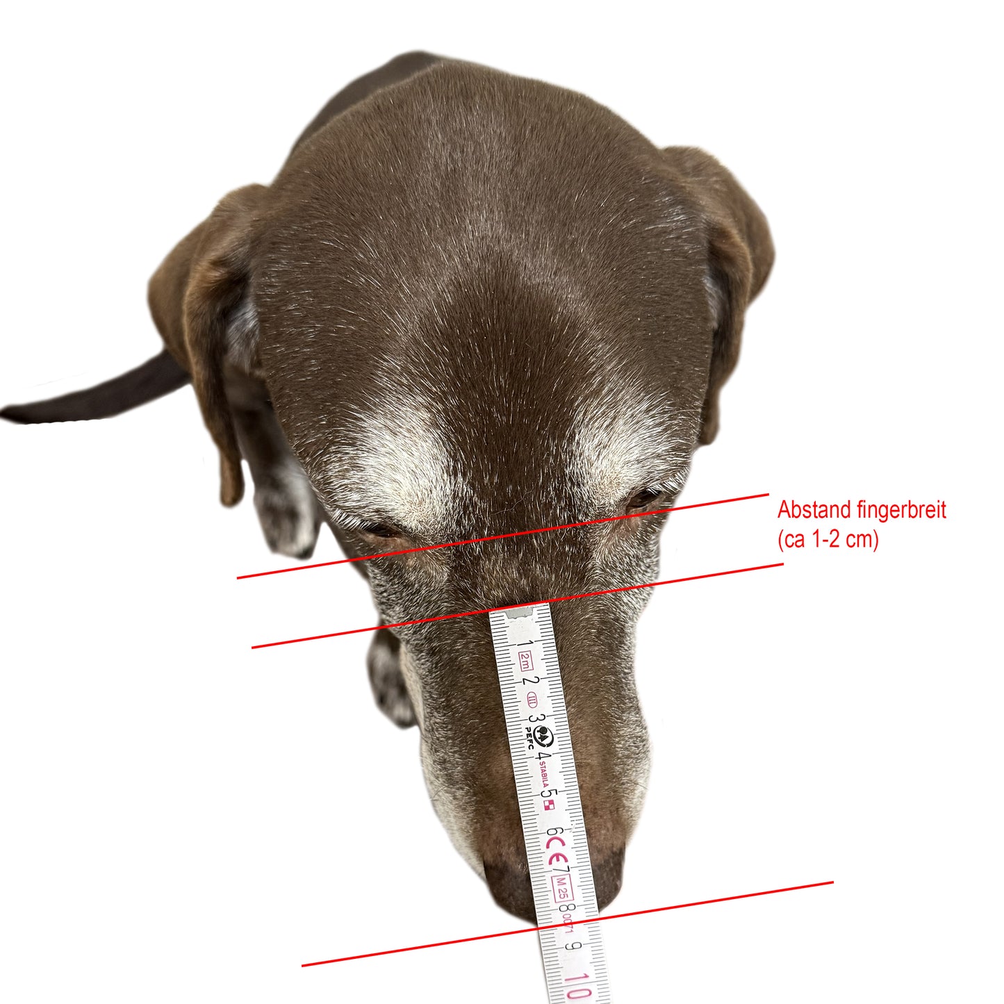 Maulkorb nach Konfigurator