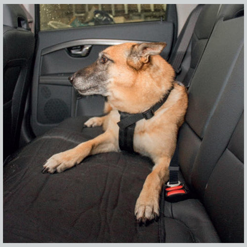Auto Sicherheitsgeschirr für Hunde