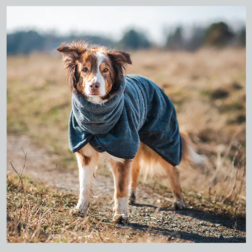 Hunde-Bademantel Bath pomppa