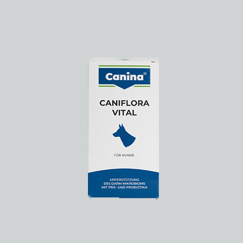 Caniflora Vital Hund