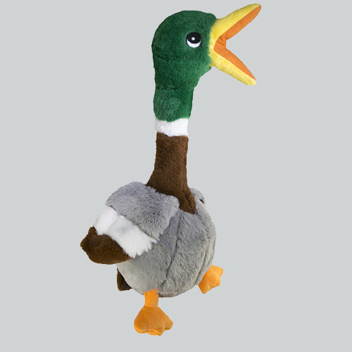 Spielzeug KONG Shakers Honkers Duck