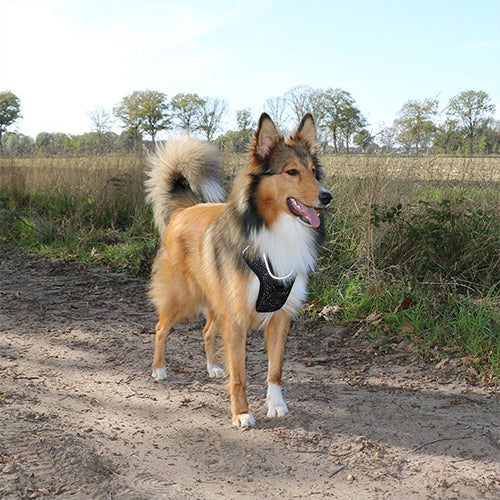 Hundegeschirr Ultimate fit no pull