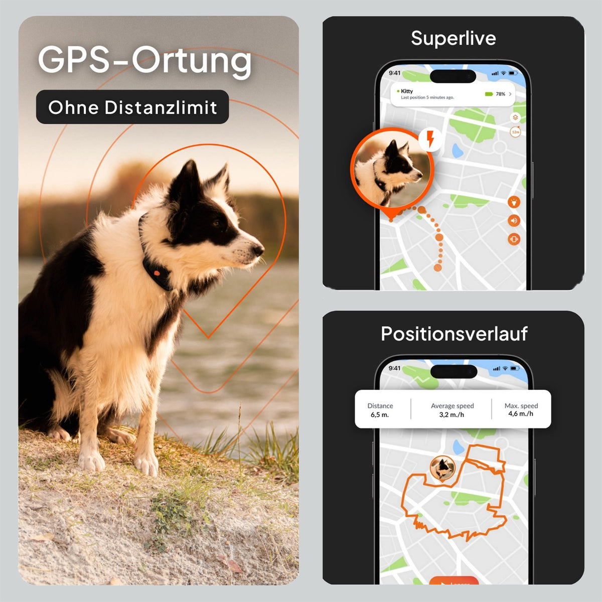 GPS-Tracker für Hunde