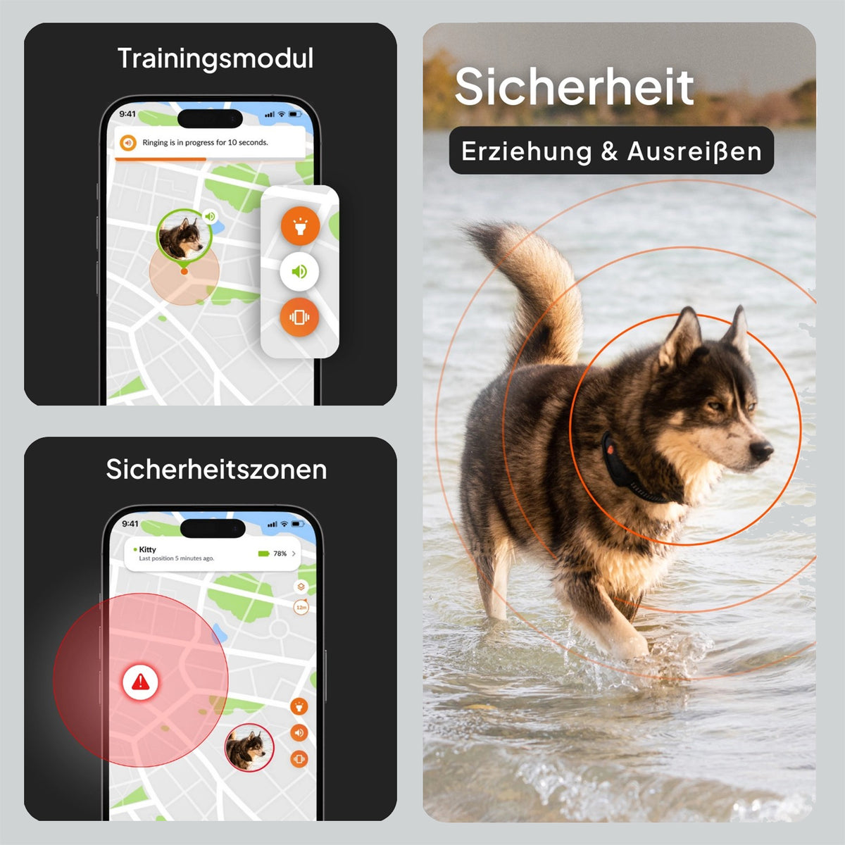 GPS-Tracker für Hunde