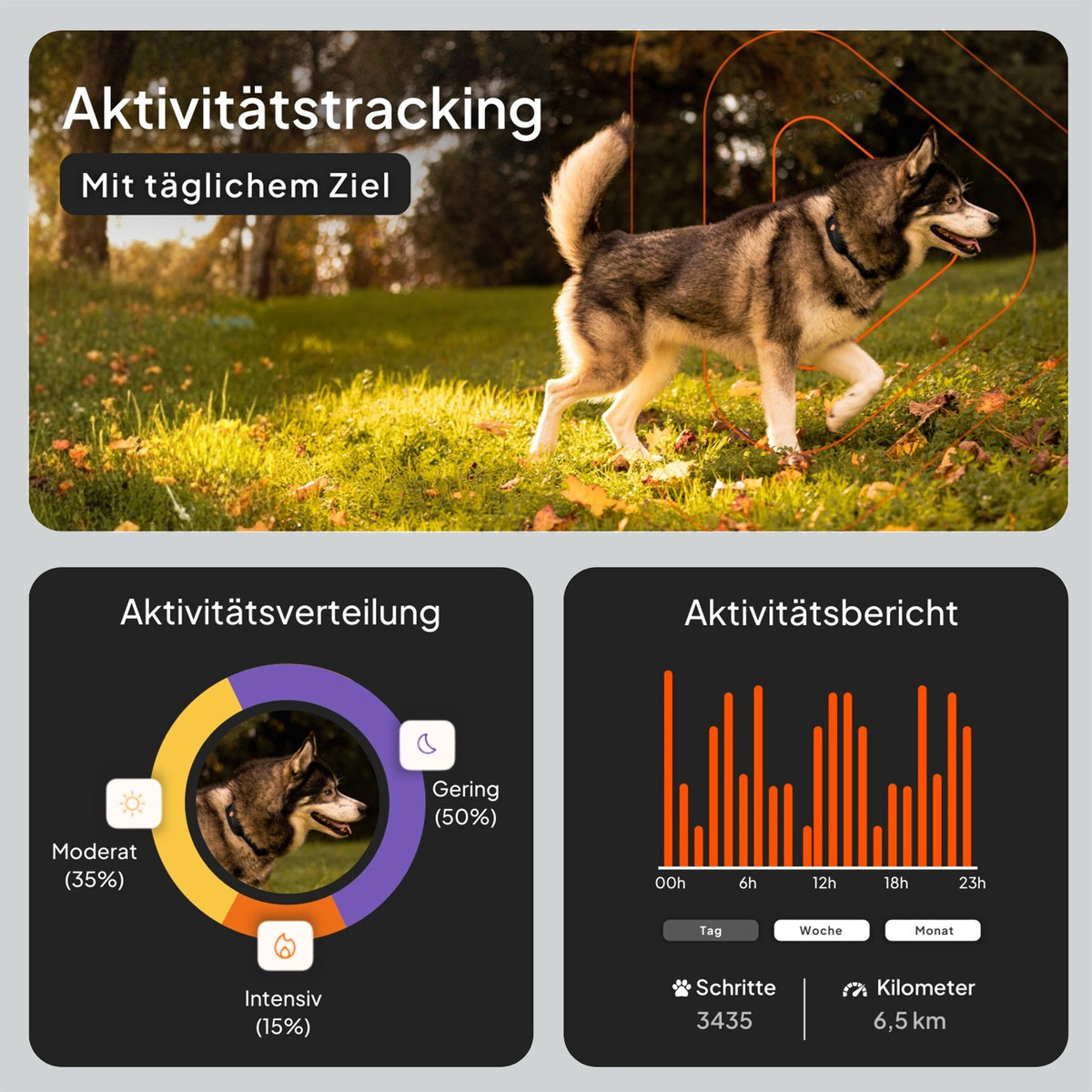 GPS-Tracker für Hunde