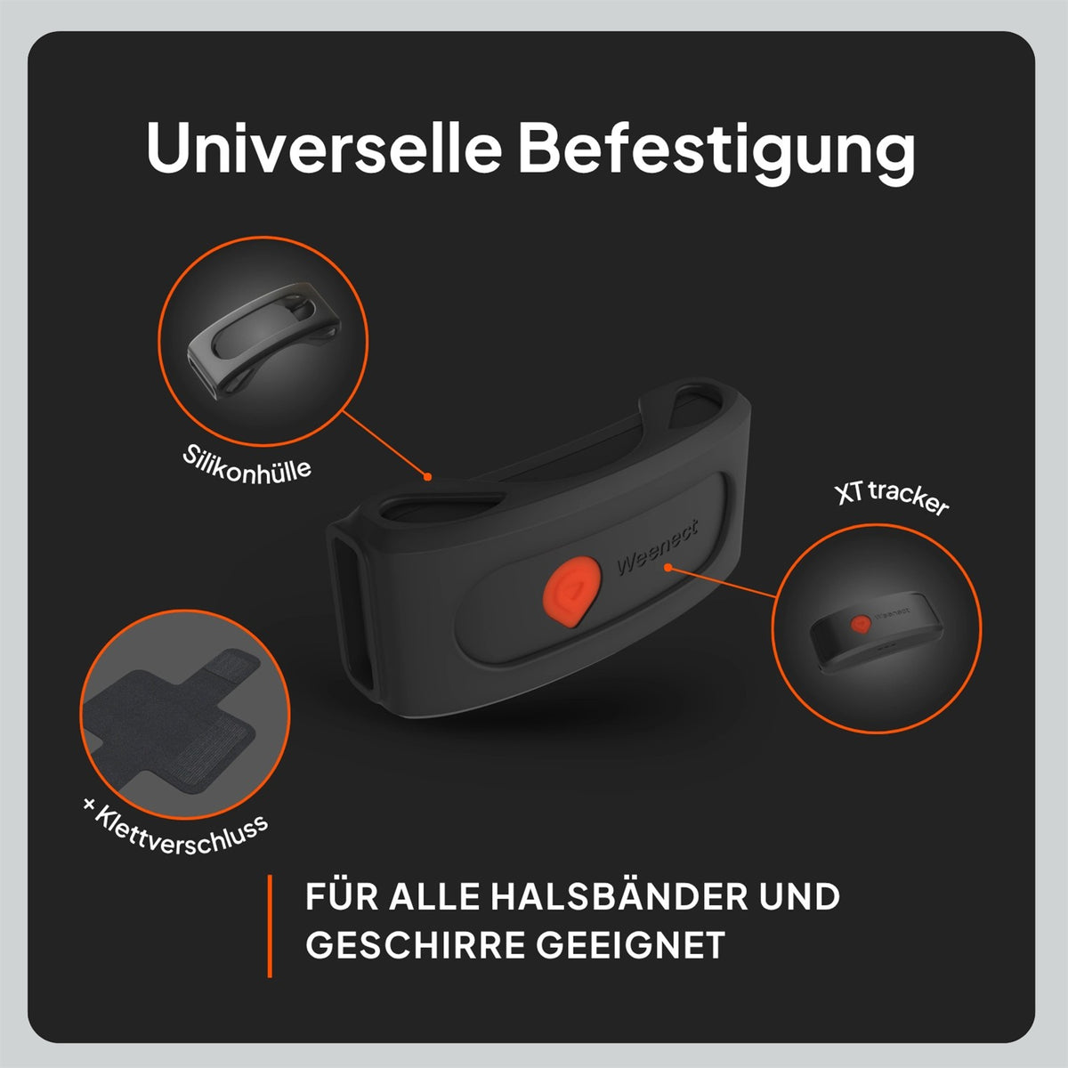 GPS-Tracker für Hunde