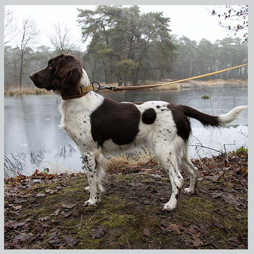 Hundehalsband Ultimate Fit Control Classic