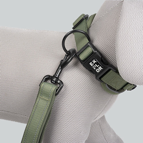 Hundehalsband Ultimate Fit Control Classic