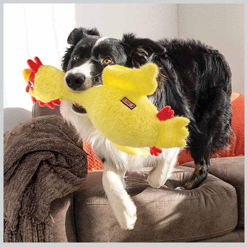 Spielzeug KONG scruffs chicken M/L 39x25x13 cm