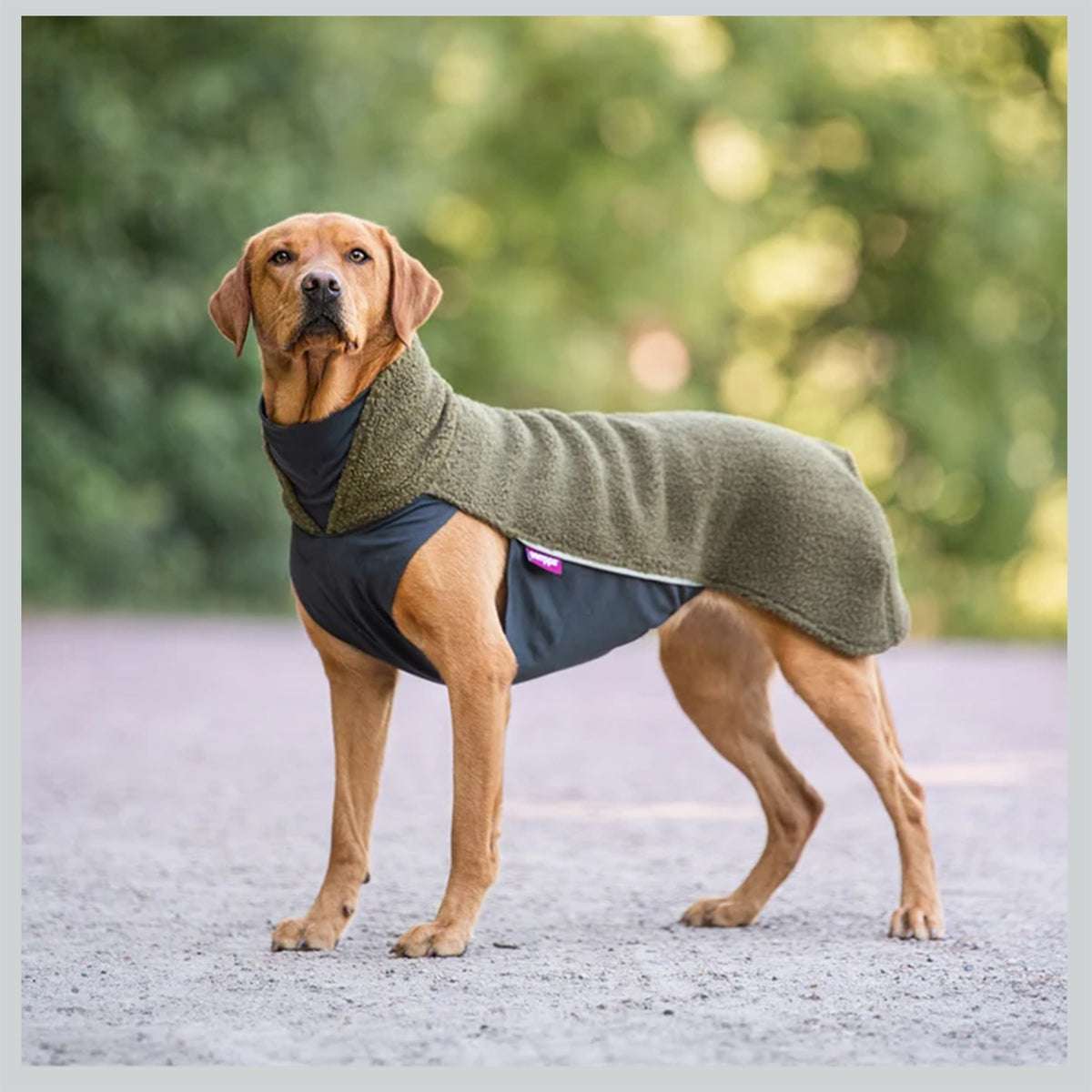 Hundepullover Polar pomppa