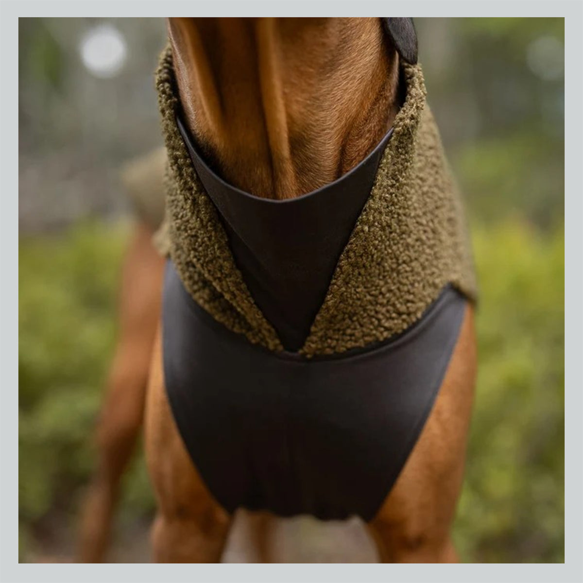 Hundepullover Polar pomppa