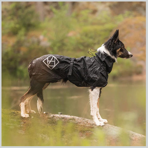 Hunderegenmantel STORMSY