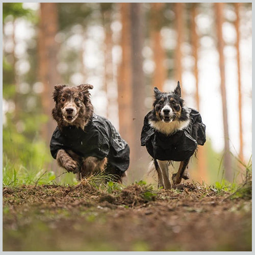 Hunderegenmantel STORMSY