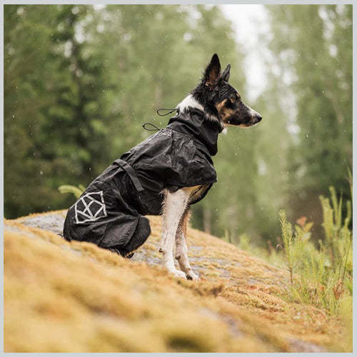 Hunderegenmantel STORMSY