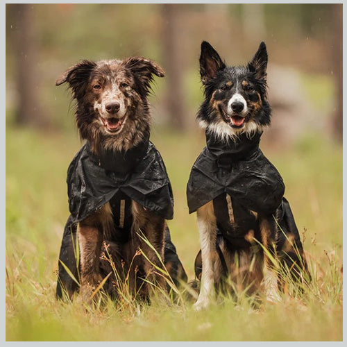 Hunderegenmantel STORMSY