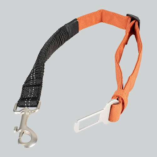 Trail 2 in 1 Sicherheitsgurt 85 x 2,5 x 2 cm
