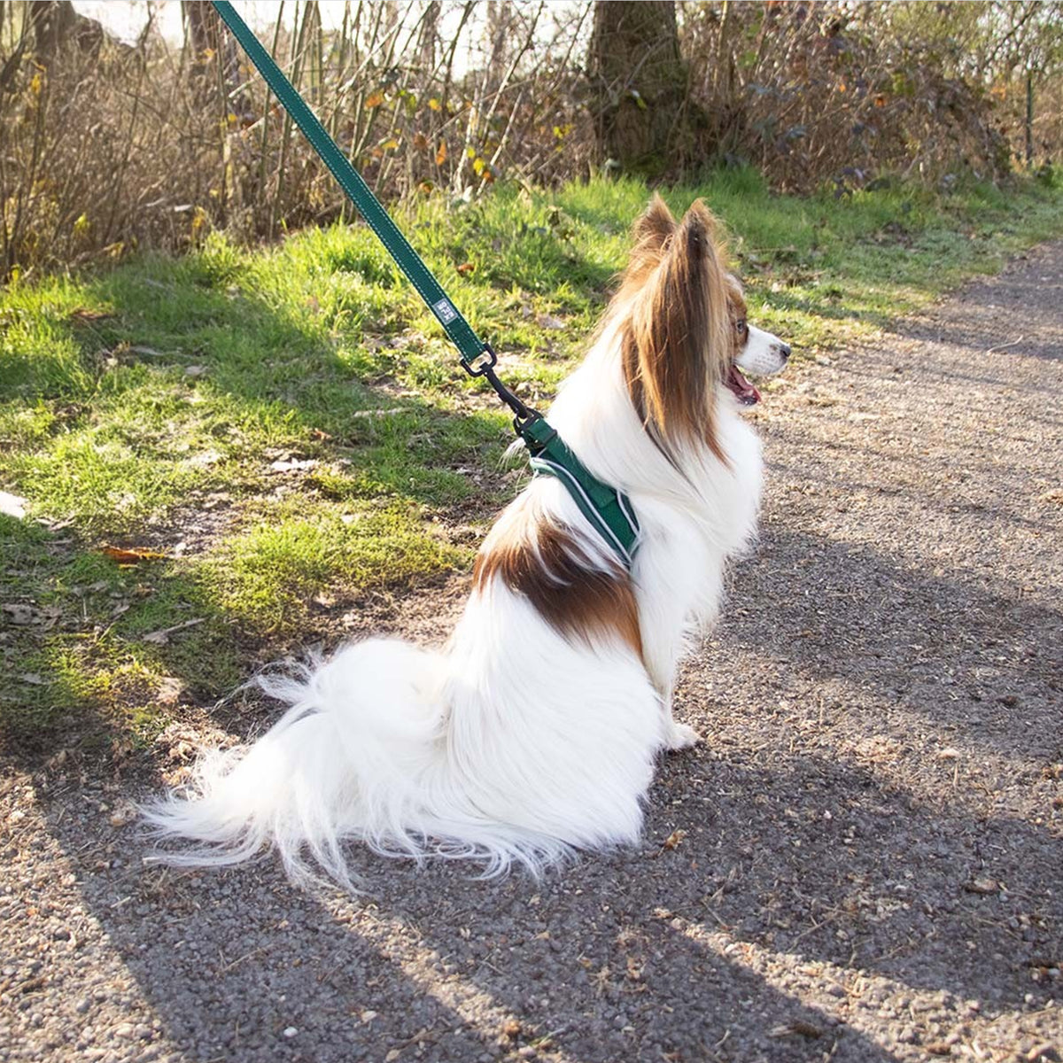 Hundegeschirr Ultimate fit kleines Hundegeschirr