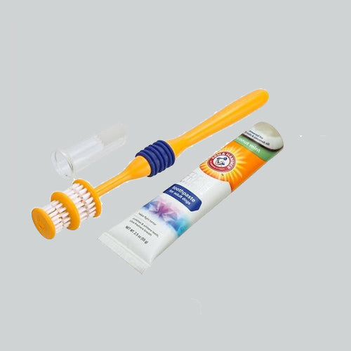 Hundezahnpflege Zahnpflegeset